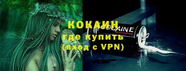 бошки Снежногорск