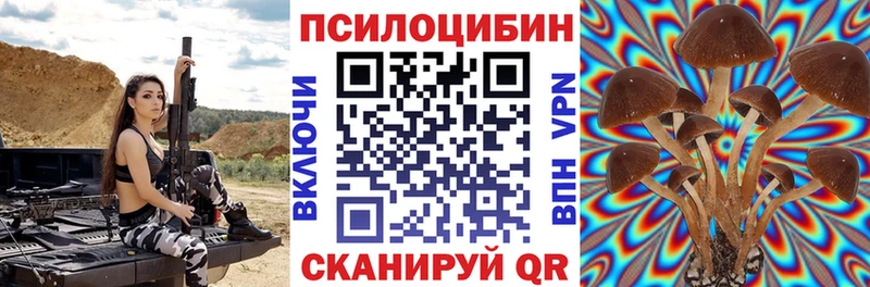 Галлюциногенные грибы Cubensis  Купить закладки  Фролово 