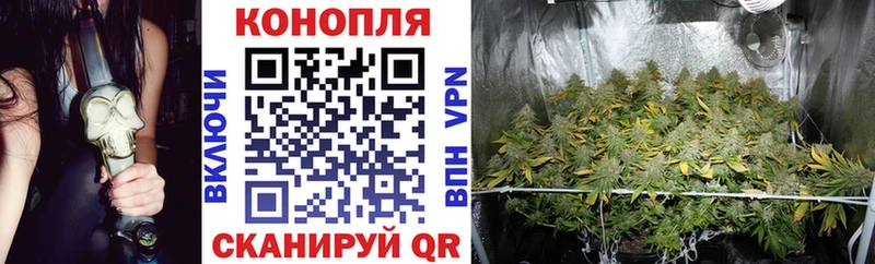 Купить закладки  Фролово  Канабис Bruce Banner 